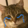 nadushepain