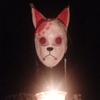 Poco-muzico