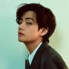 VIEN K.N
