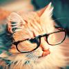 dr. ROXI