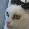 w0rLDdestRoYed