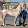 Калина Яхонт