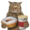 критерий коши