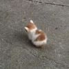 Neko.knx