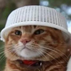 Migato-chan