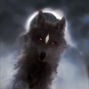 ShadowOfWolf