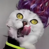 Mor_Y