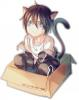 Yato Noragami