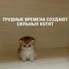 Гермиона Милфой