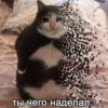 Аделин Мика