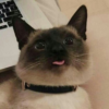 Огнеликий цветок