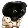 ПТЧК