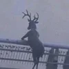 Aivakh