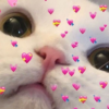 kimrmncisup