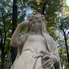 Luci_en