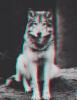 Anastasia_One1404