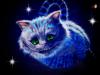 Cheshire kitty