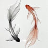 Pesce piccolo