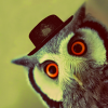 mr. sova
