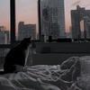 Алиса Микото