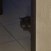 Loly_228