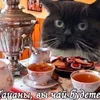 Киоши_228
