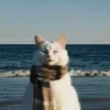 Колючка пишущая