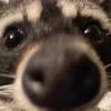 sofi_uwu_fikbook