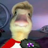 Жорик Сьют