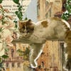 ТВОЙ СМЫСЛ ЖИЗНИ