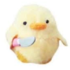WeirdDuck