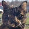 56_MEOW_56