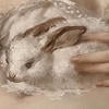 .Chocobunny.