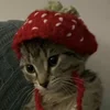 iluinma