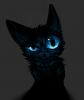 Black Tear
