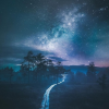 Road To The Stars