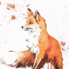 _JuliFox_