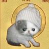 Kerrofismin3hh