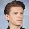 Tomat Holland