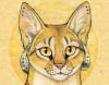 Gato de goma