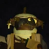 Pilot_FIR