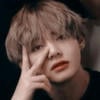 Biscute_tae