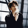 Black_Helichrysum