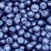 Eco Blueberry
