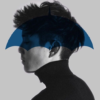 Kin_Vinsu