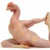 Цизуки