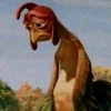 Алоказия