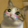 Kira E