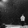 Abel_sunshine