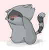 shadow raccoon